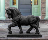 Photo of Campania Roman Horse - Exclusively Campania